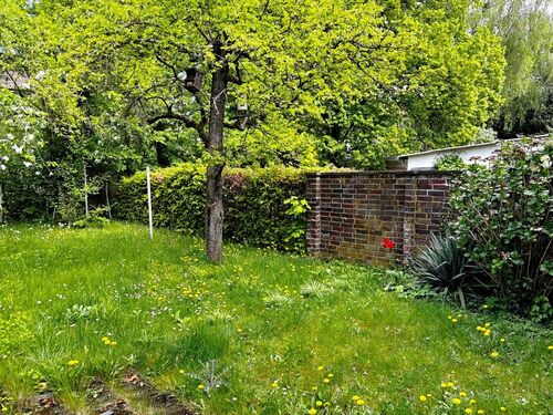 Gemeinschaftsgarten - 