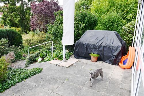 EG - WHG Sonnenterrasse mit Gartenzugang - 