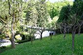 Garten... - 