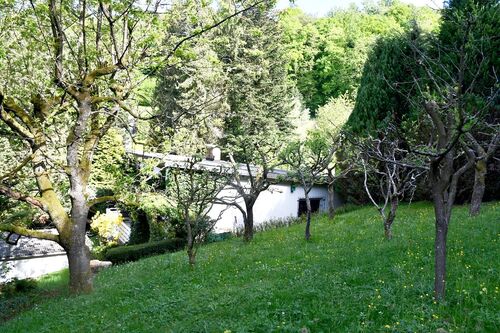 Garten... - 
