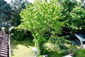 Blick vom Balkon - 
