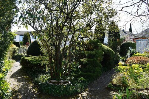 Hauszuweg - 6 Zimmer Einfamilienhaus zum Kaufen in Seeheim-Jugenheim