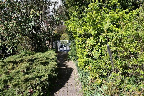 wertvoller Bewuchs - 