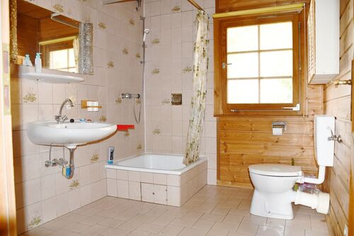 Tageslicht-Duschbad - 