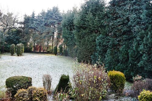 weitläufiger Garten - 