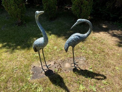 Gartenimpressionen - 