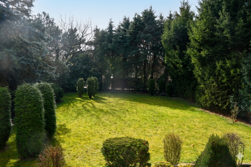 weitläufiger Garten - 