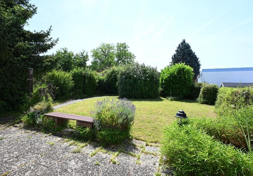 Garten mit Teich - 