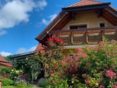 Rosengarten mit Hausansicht - 10 Zimmer Einfamilienhaus zum Kaufen in Bad Liebenzell