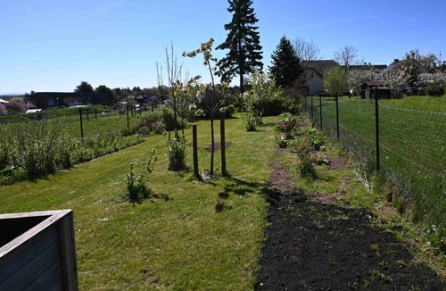 Ausschnitt umzäunter Nutzgartenbereich - 