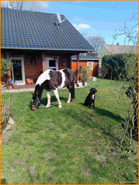 auch unser Zuhause - 