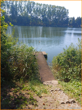 Traumhaft - Hausbau 2026 am Wasser - TRAUMHAFTE Lage, attraktiv, nicht länger TRÄUMEN