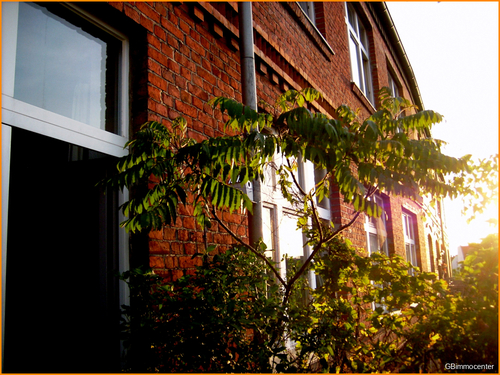 Abendstimmung auf dem Balkon - 