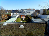 Ausblick - 