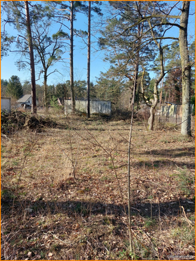 Bauplatz - Villa mit 150,00 m² in Michendorf zum Kaufen
