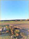 Weitblick - 