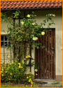 Rosen - 