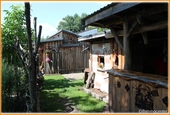 im Garten - 