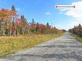 Cape Breton - Traumhaft schöne Atlantik-Lage - Pre - Grundstück zum Kaufen in Louisdale