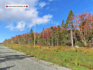 Cape Breton - Traumhaft schöne Atlantik-Lage - Pre - Cape Breton - Traumhaft schöne Atlantik-Lage - Preiswerte Bau-Grundstücke mit Zugang zum Meer