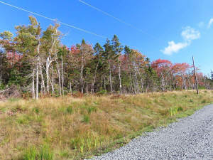Cape Breton - Traumhaft schöne Atlantik-Lage - Pre - 