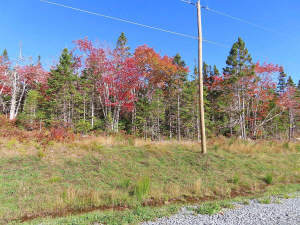 Cape Breton - Traumhaft schöne Atlantik-Lage - Pre - 