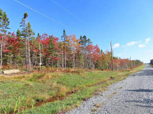 Cape Breton - Traumhaft schöne Atlantik-Lage - Pre - 