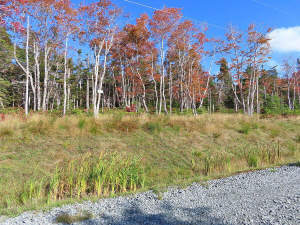 Cape Breton - Traumhaft schöne Atlantik-Lage - Pre - 