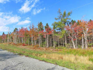 Cape Breton - Traumhaft schöne Atlantik-Lage - Pre - 