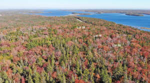 Cape Breton - Traumhaft schöne Atlantik-Lage - Pre - 
