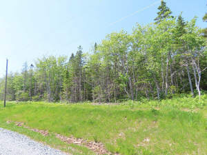Cape Breton - Traumhaft schöne Atlantik-Lage - Pre - 