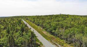 Cape Breton - Traumhaft schöne Lage am Atlantik - - 
