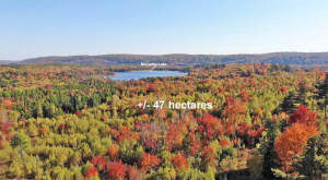 Nova Scotia - Smithfield - Wunderschönes 47-Hektar - 