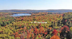Nova Scotia - Smithfield - Wunderschönes 47-Hektar - 