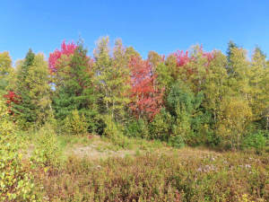 Nova Scotia - Smithfield - Wunderschönes 47-Hektar - 