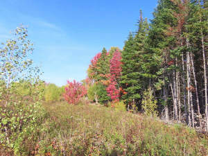 Nova Scotia - Smithfield - Wunderschönes 47-Hektar - 