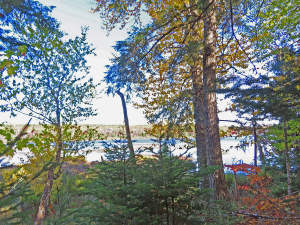 Nova Scotia - Smithfield - Wunderschönes 47-Hektar - 