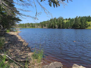 Cape Breton - Phantastisches Halbinsel-Grundstück - 