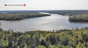 Cape Breton - Cleveland - Wunderschönes See-Ufer-G - Grundstück zum Kaufen in Cleveland