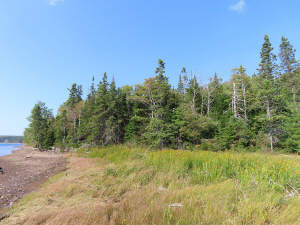 Cape Breton - Cleveland - Wunderschönes See-Ufer-G - 