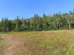 Cape Breton - Cleveland - Wunderschönes See-Ufer-G - 