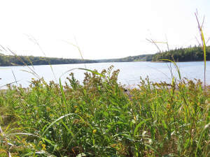 Cape Breton - Cleveland - Wunderschönes See-Ufer-G - 