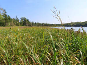 Cape Breton - Cleveland - Wunderschönes See-Ufer-G - 