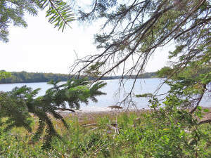 Cape Breton - Cleveland - Wunderschönes See-Ufer-G - 