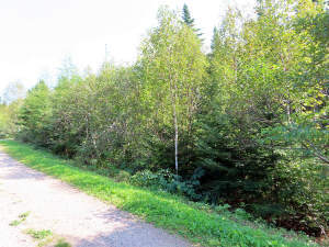 Cape Breton - Cleveland - Wunderschönes See-Ufer-G - 