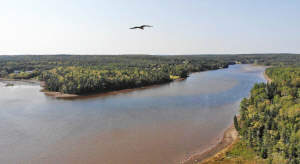 Cape Breton - Cleveland - Wunderschönes See-Ufer-G - 