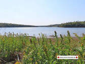 Cape Breton - Cleveland - Wunderschönes See-Ufer-G - Cape Breton - Cleveland - Wunderschönes Fluss-Ufer-Grundstück am River Inhabitants