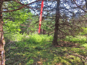 Nova Scotia - Grover´s Point - Atlantik-Grundstück - 