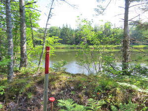 Cape Breton - Cleveland - Großzügiges Ufer-Grundst - 