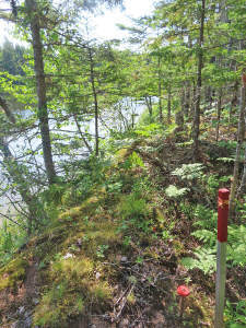 Cape Breton - Cleveland - Großzügiges Ufer-Grundst - 